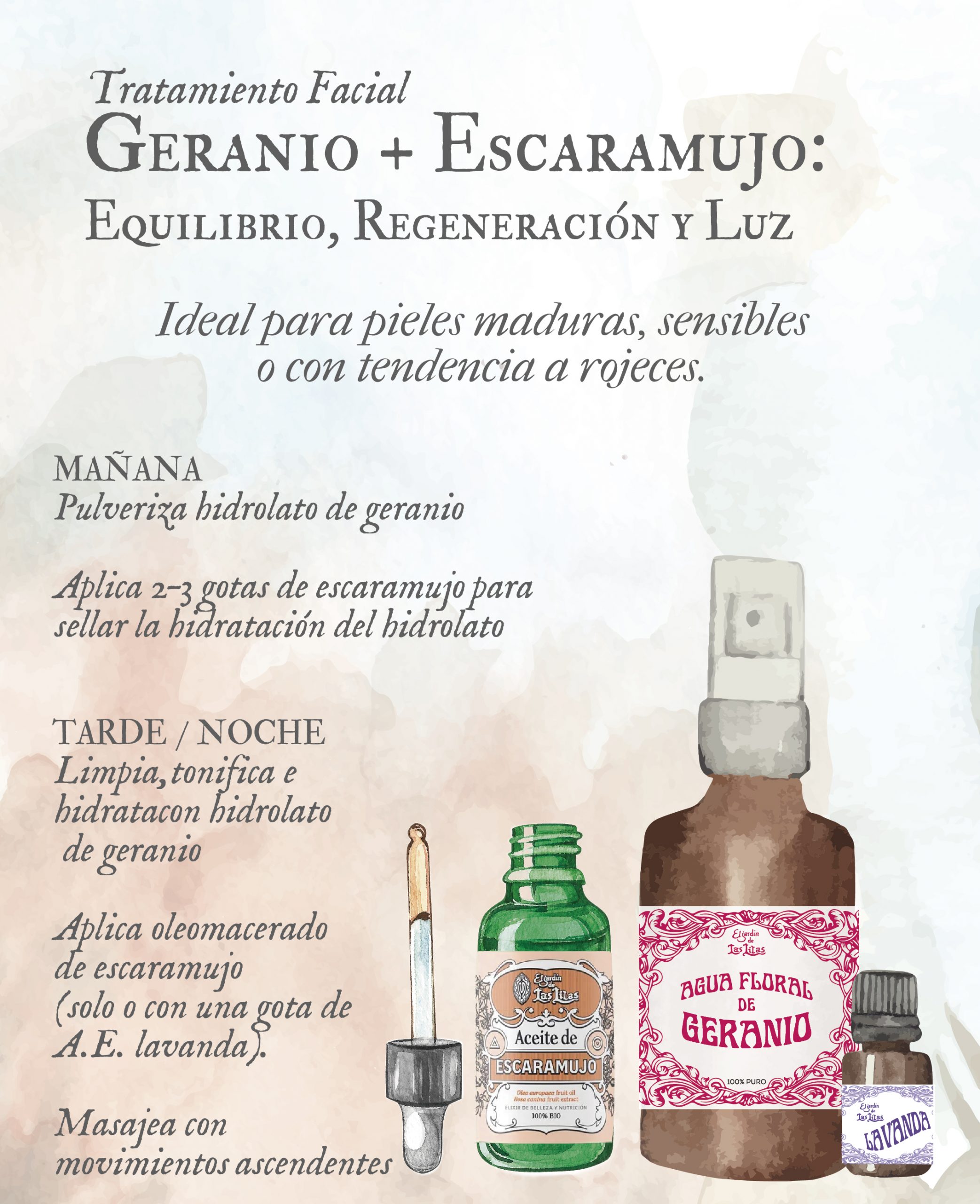 infografíaGeranioYEscaramujo